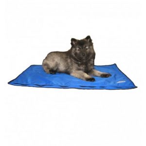 tapis-rafraichissant-pour-chien-drykewl